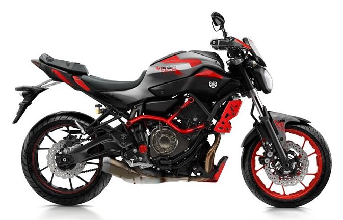 2015 Yamaha MT-07 Moto Cage Stunt Bike Revealed 